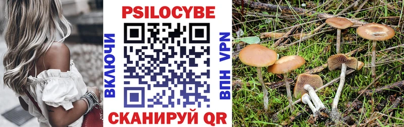 Псилоцибиновые грибы мухоморы  как найти закладки  mega tor  Ак-Довурак 